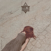 The Psychedelic Experience - Name In Process