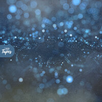 Fireplace - Mr. Freed & Golden Ticket Tapes