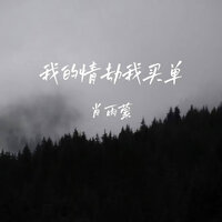 我的情劫我买单 - 肖雨蒙