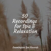 Welness and Calmness - Yoga Workout Music & Relaxing music & Sleep Sound Library