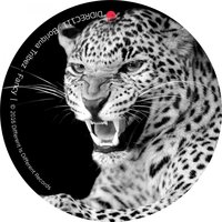 Fancy - Boriqua Tribez & Ade Fenton