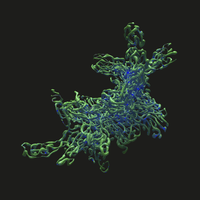 Virtuality - Echonomist