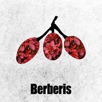 Singularity Next To My Soul - Albena Flores & Ariane Blank