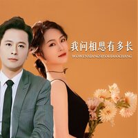 我问相思有多长 - 月下思故人 & 红蔷薇