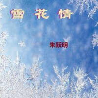 梅雪情 - 朱跃明