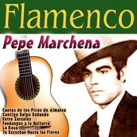 Que al Molino Va a Parar - Pepe Marchena