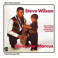 Diaspora - Steve Wilson Quintet & Steve Nelson & Lewis Nash & James Genus & Bruce Barth