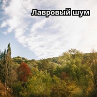 Утренний свет - Музыка для похода в дождливый день & Религиозная и лечебная музыка & Душевная соната