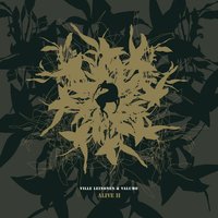 VALUMO - Ville Leinonen & Valumo