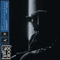 ANTIMATTER - Skybreak & Purple Velvet Curtains