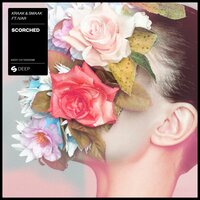 Scorched - Kraak & Smaak & IVAR