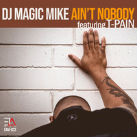 Ain't Nobody - DJ Magic Mike & T-Pain