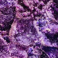 Antisocial Guy - T¥SON & JACK¥ CHERR¥ & Tyson