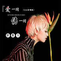 爱一回伤一回 - 郑茜匀