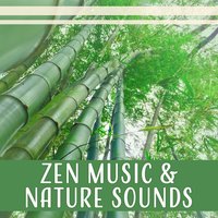 Nature Sounds for Stress Relief - Zen Relaxation Academy