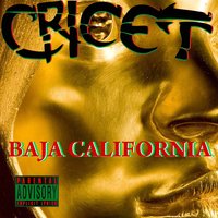 Baja California - Cricet