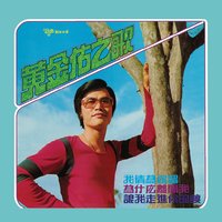 滴滴淚為誰流 - 黃金佑 & 鈴聲樂隊