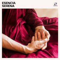 Lluvia de Luz - Cuencos Tibetanos & Meditacion & Meditación Profunda Música & Chakra Meditación Música