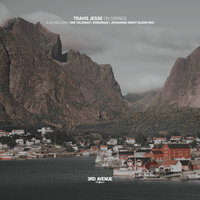 On Swings - Travis Jesse