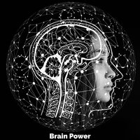 Soul Discovery - Alpha Brain Waves & Brain Study Music Guys & Thinking Music World