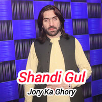 Jory Ka Ghory - Shandi Gul