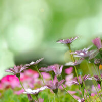 Modern Recharging Routines - Slow Relaxing Jazz