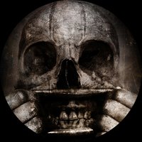 Ground Up - Dolgener