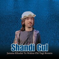 Janana Khudai Ta Waksa Chi Tagi Rosara Ma ka - Shandi Gul