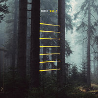 Walls - Yotto