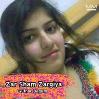 Zra Mi Na Qarar Dai - Gulnar Begum