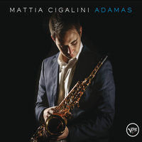 Rebound - Mattia Cigalini