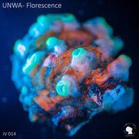 Florescence - UNWA