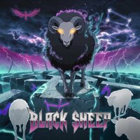 Black Sheep - MortisRecords
