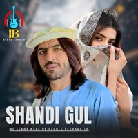 Mo Sekha Kare De Paghle Peghara Ta - Shandi Gul