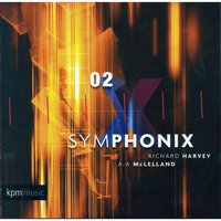 In Sync - Alexander McLelland