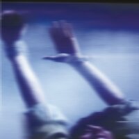 Survival - D'Marc Cantu & Danny Passarella