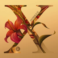 Ruffneck - RoyGreen & Protone & Ben Soundscape