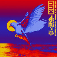 We'll Always Have This Dance - Kuu & Alex Metric & Diplo & Riton & Shungudzo