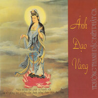Ánh đạo vàng - Thanh Tuyen