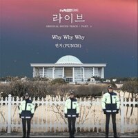 Why Why Why - Punch