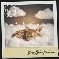 Gelassenheit unter Sternenlicht - Dog Relaxation & Canciones De Cuna Para Dormir Bebes & Bébé Sommeil ASMR