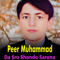 Watan De Na Yadege - Peer Muhammad