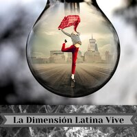 Cachondea - Dimension Latina