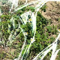 那天我在想你去哪 - Random