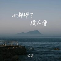 心都碎了没人懂 - 大美