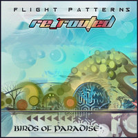 Tunnel Visions - Birds of Paradise & Hedflux