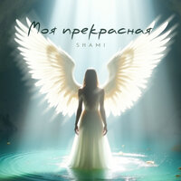 Моя прекрасная - SHAMI