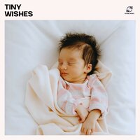 Sleepy Melody - Baby Sleep Zone & BabySleepDreams & Calm Lullabies Universe & Little Star Lullabies