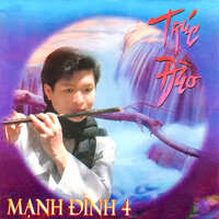 Phố đêm - Mạnh Đình