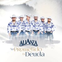 Mi Hermosa Princesa - La Alianza Norteña & La Energia Norteña